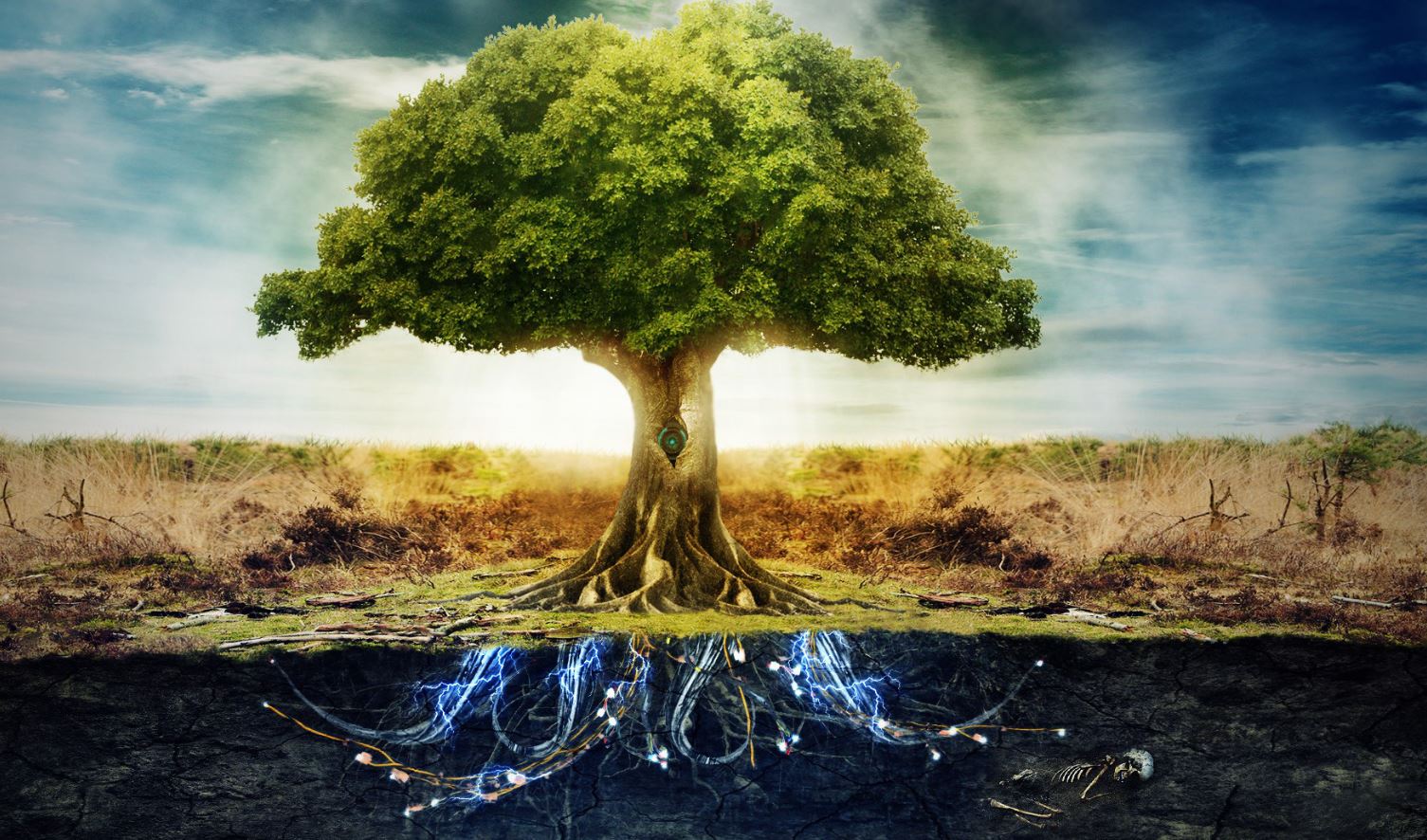 TreeOfLife image
